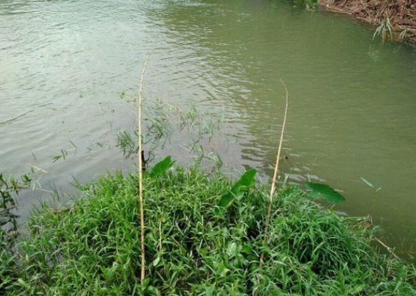 饵料|晒下每个年龄段使用的钓鱼装备，看谁才是王者