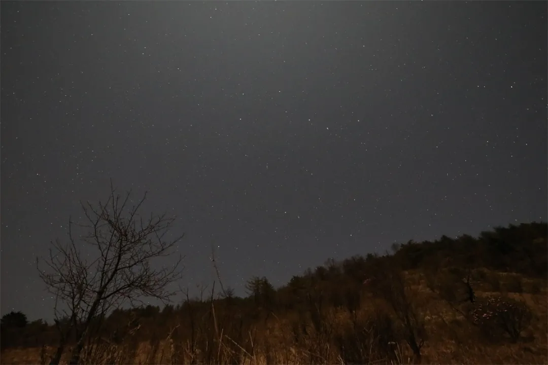 神农架▲高清大图丨高山草甸、万亩杜鹃……探绝美秘境小神农架