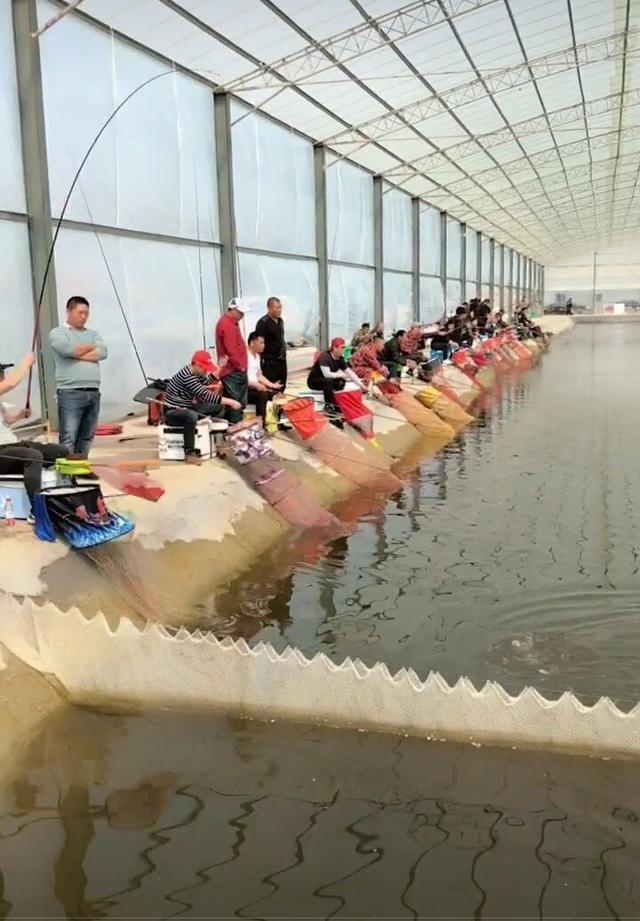 「」「垂钓杂谈」信仰-人品