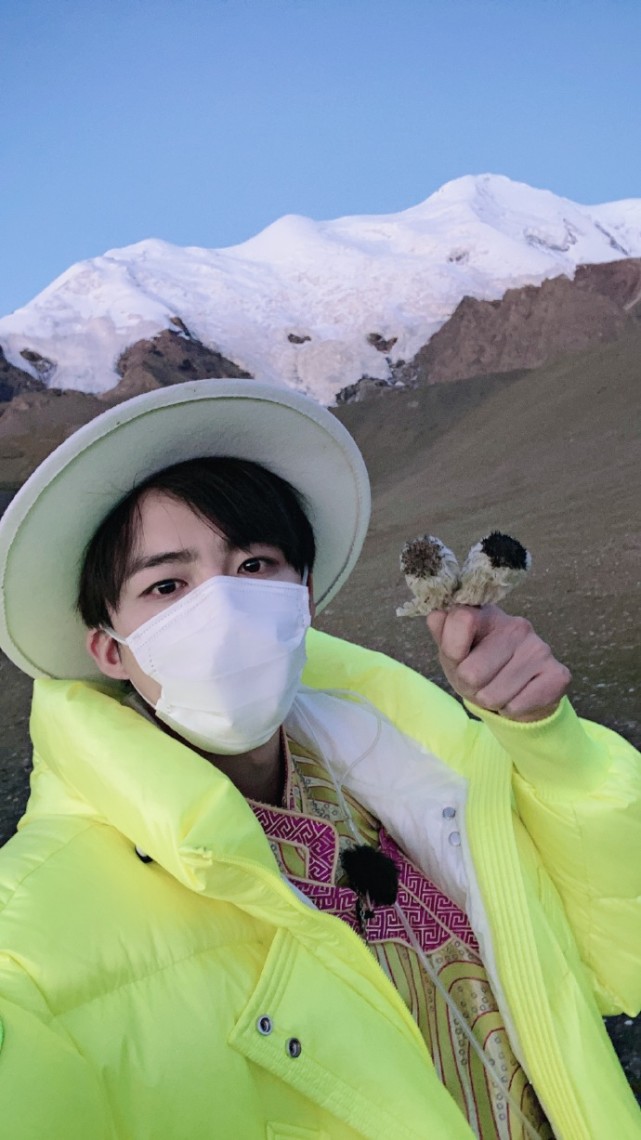 兔子|刘宇宁摘水母雪兔子惹争议，本人称是道具，植物学家揭开真相