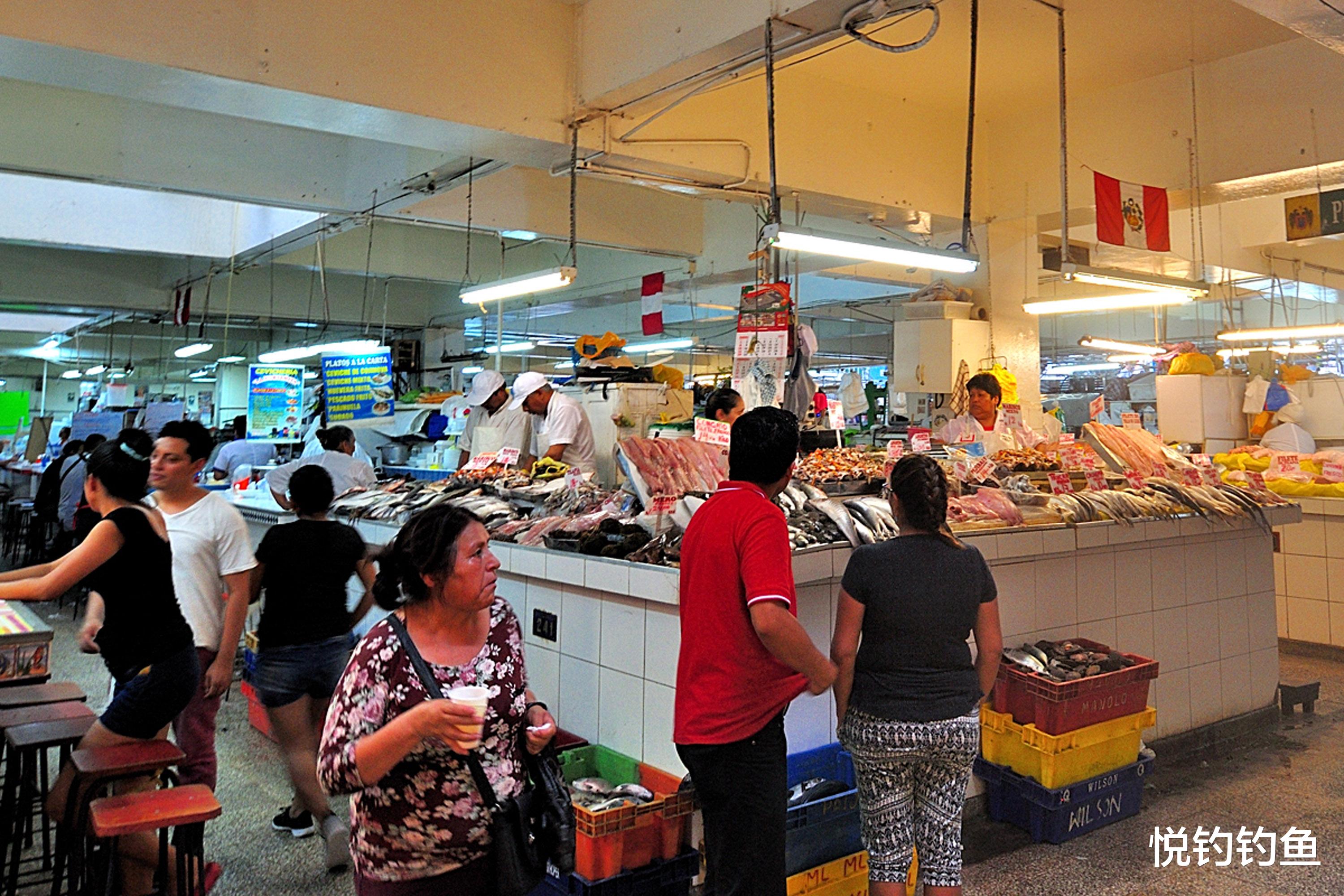 秘鲁|秘鲁渔场的鱼是真的多，全员出动钓上来四五百斤……