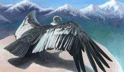 |世界上最恐怖的老鹰，以捕食人类闻名，最终被人类捕杀灭亡