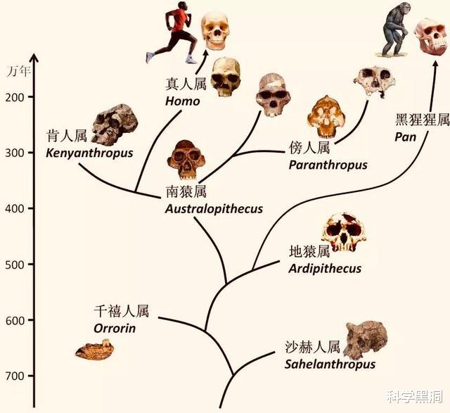 旅行者：64亿公里之外的回望，旅行者一号带给人类新认知，科学家也沉默了