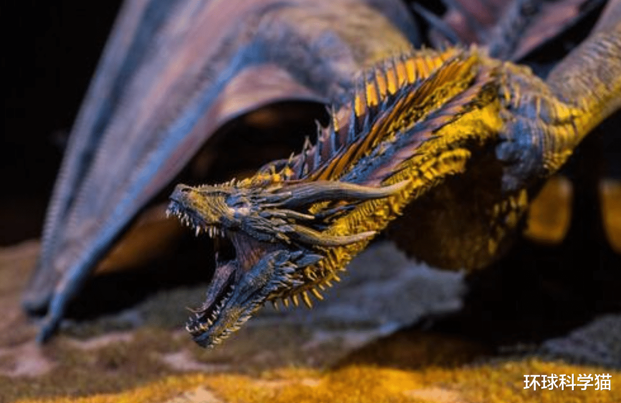 科学家|龙到底存不存在?科学家已经发现,地球上存在“与龙相似”的生物