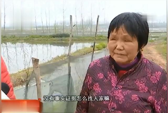 「北京市」收获季节五亩龙虾全部死亡，养殖户怀疑有人投毒：其他村民的都没死