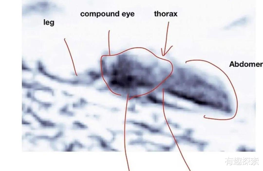 「火星」火星被发现有座“废墟”,疑似建筑物遗址,跟智慧物种有关吗?