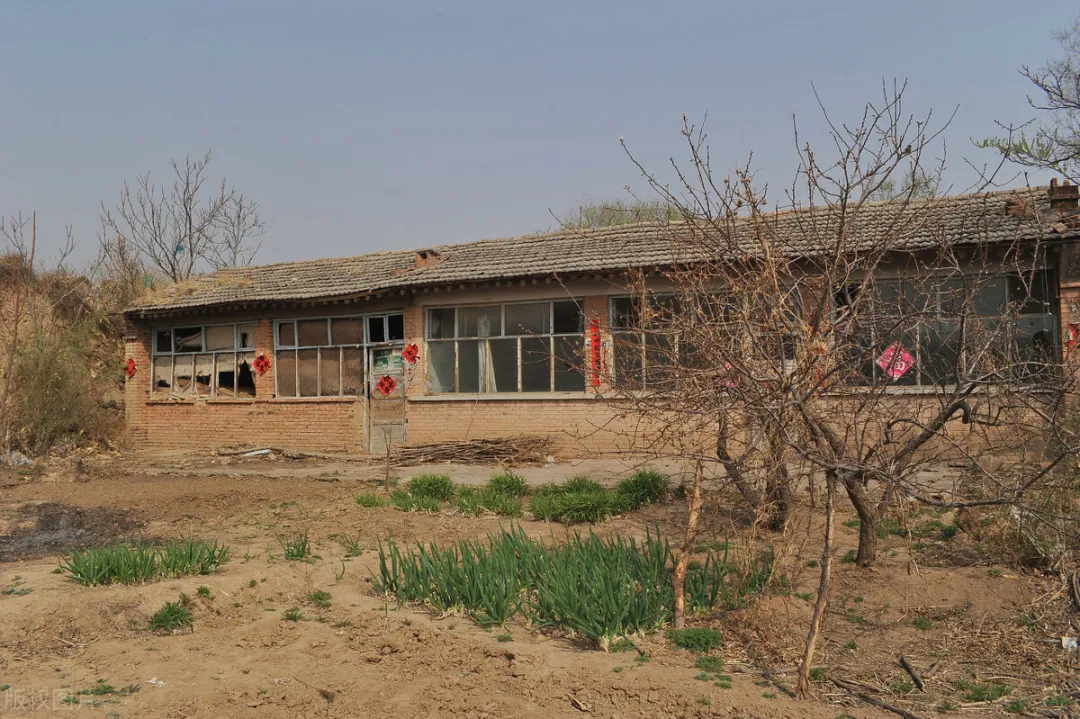 荆州|确定了!城镇户口的子女继承父母农村宅基地,要满足这些条件