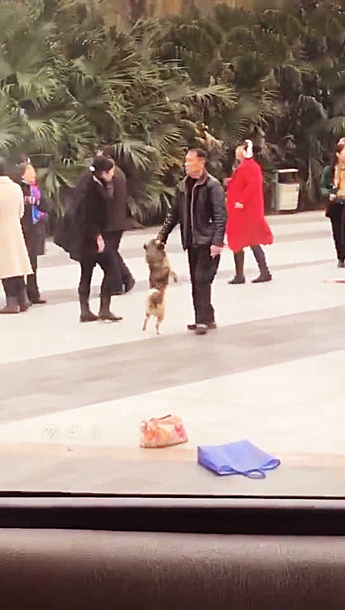 没人愿跟老人跳舞，随后老人竟做出奇葩举动，看清后让人瞬间笑喷