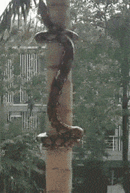 |“弟弟的女同学才上初一，就这么早熟了？”哈哈哈哈哈...真是让人羡慕啊～