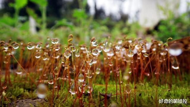 |当文科生遇上理科生，着急都急不到一起去，这些对话看着还挺可爱