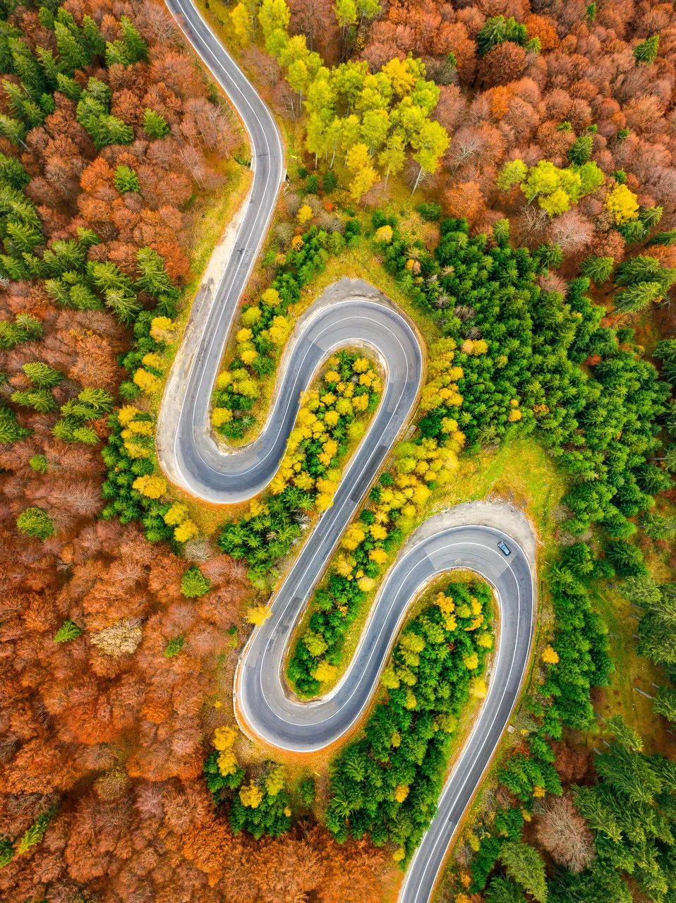 旅行|“最近，千万别去秦岭！”