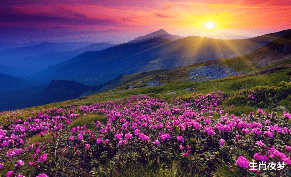 射手座|11月中旬，邂逅新欢，忘记前任，不再纠结过往，拥抱更好明天