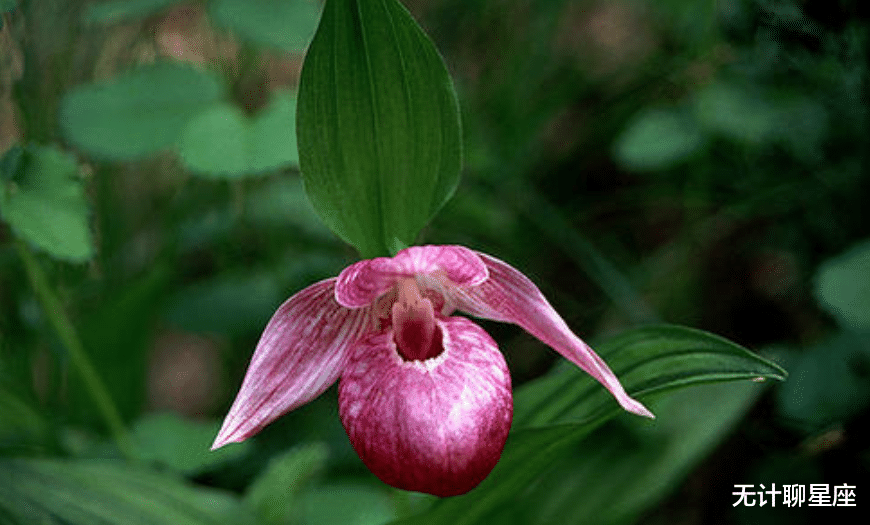 运势|十月份，事业上迎来高峰的4个星座，顺风顺水，收获良多