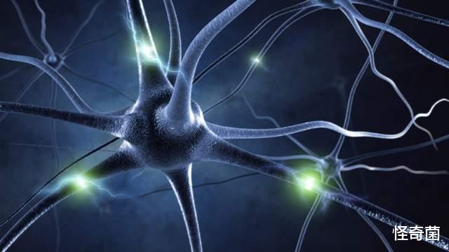 科学家|人类为什么会丢失婴儿时期记忆?看看科学家如何解释