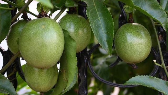 戒烟|身体被香烟掏空的迹象，若占2个以上，提醒你：立即戒烟，别犹豫