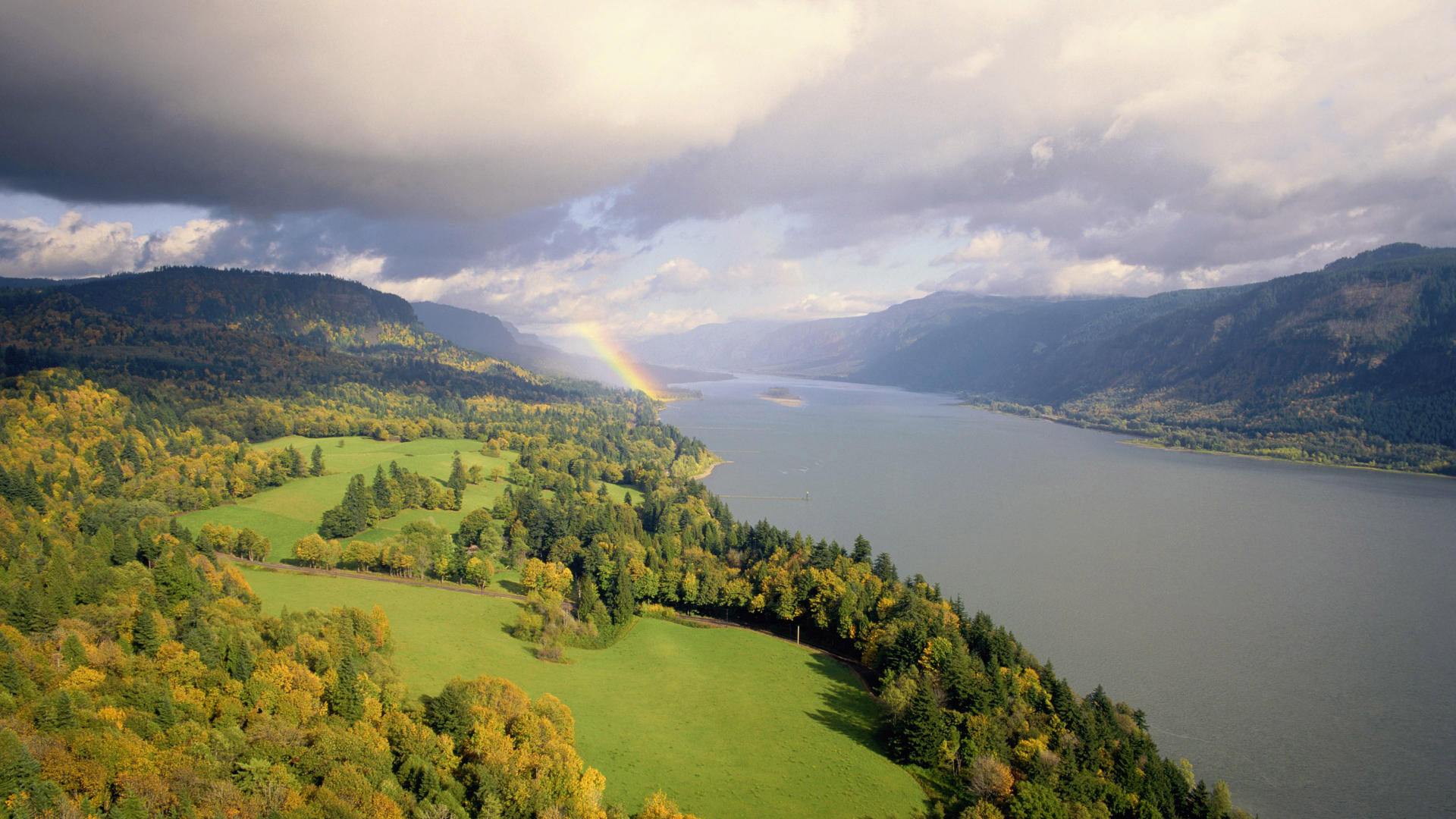 『伊利股份』A股,中兴通讯和伊利股份如何确认买点?