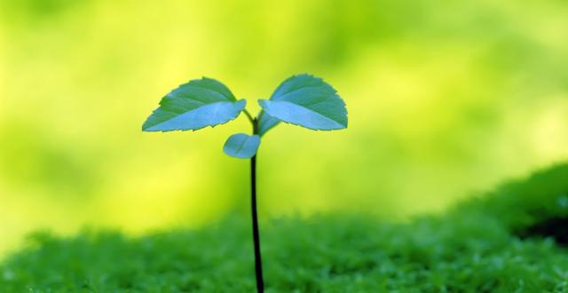 运势|8月中旬，厅堂若太小，赚钱多不了，4生肖努力奋斗，事业扶摇直上