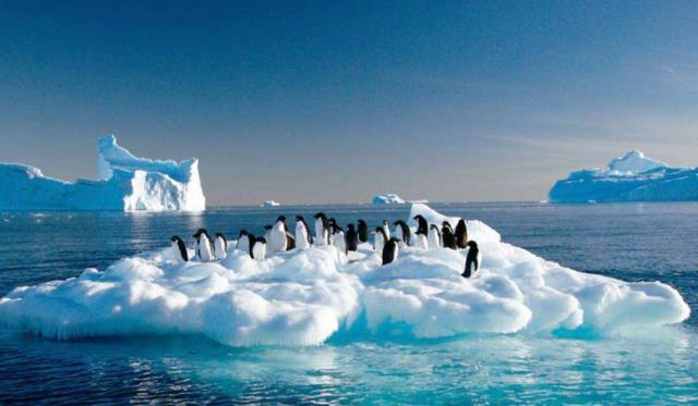 南极|“不该出现”在地球的东西,如今现身南极,专家:灾难或将来临!