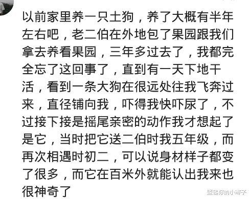 |我妈说小的时候,家里的猫会用尾巴在河边钓鱼,叼回厨房的柴堆,哈哈哈