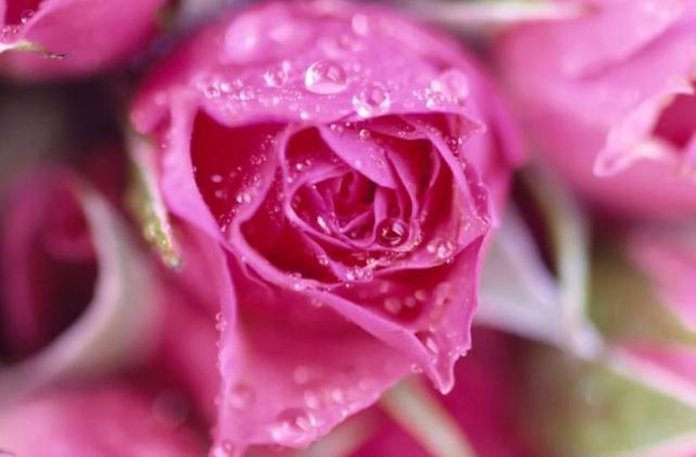 射手座|入冬开始运势将有质的飞跃，事业辉煌，生意发达，钱财多多的生肖