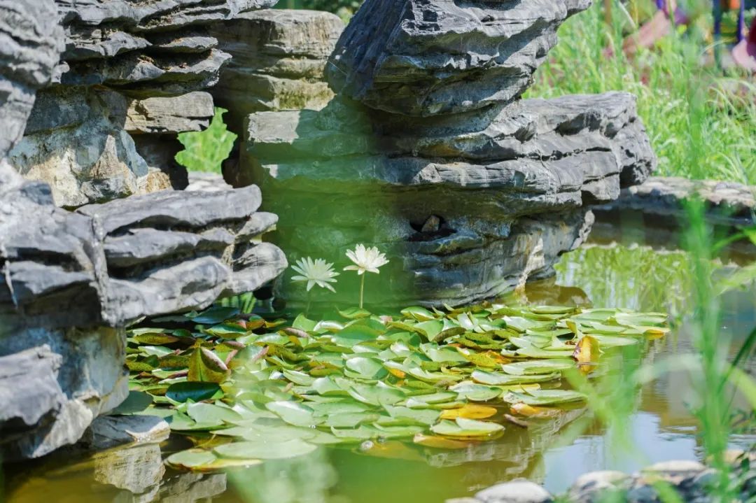 永康日报|永康这个村，家家户户曾有副打铜担，暖铜锅成国礼……