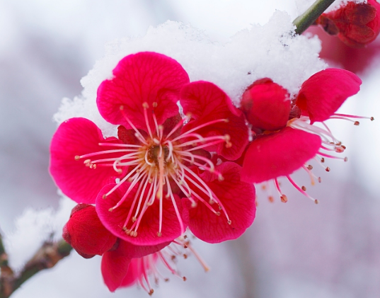|11月16日开始，4属相生财有道，事业顺风顺水，生活蒸蒸日上