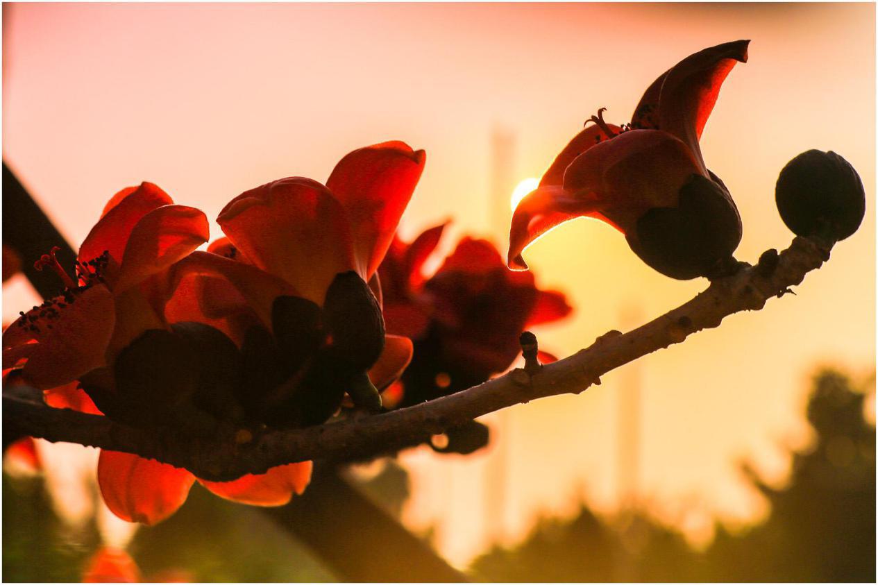白羊座|8月份开始,运势红得发紫,人生开始走上坡路的几大星座