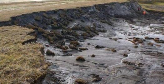 科学家|“不该出现”在地球的东西，如今现身南极，专家：人类要小心了