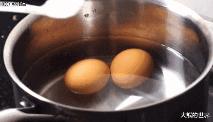|煮鸡蛋，用清水煮是外行！多加2样，鸡蛋软嫩鲜香，不破壳好剥壳