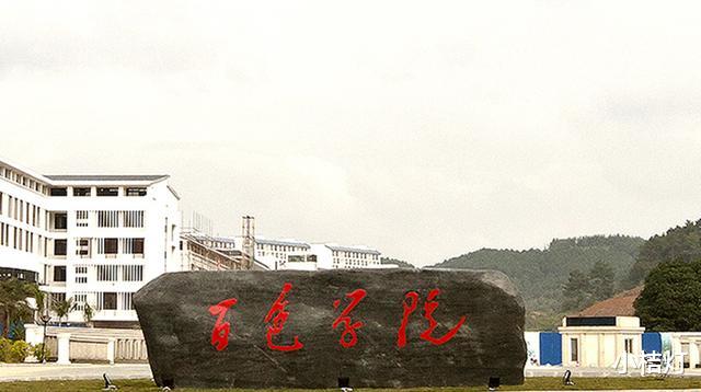 大学|女生,文科,踩线进这个学校,专业被调剂,家人说就业难,复读吗