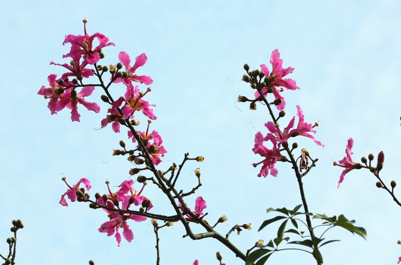 [生肖]下周内，姻缘牵线邂逅佳人，爱情美满，余生有你便好的四大生肖