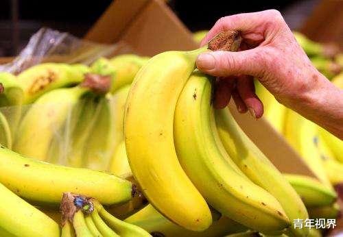『香蕉』直香蕉和弯香蕉“差别”居然这么大，幸好以前没买错，这种最甜
