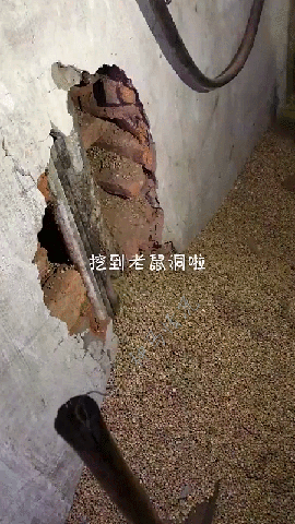『』搞笑：钓鱼就这么好玩吗？对中年男人就有这么大的吸引力吗？？