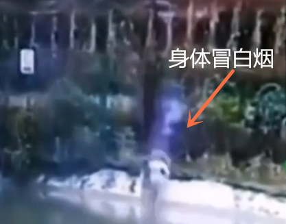 |百万级网红离世前最后影像曝光，鱼竿触碰高压线之后，身体冒白烟