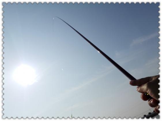 鳊鱼▲鳊鱼难钓？试试这五大招，招招有鱼来！新手学了马上爆护