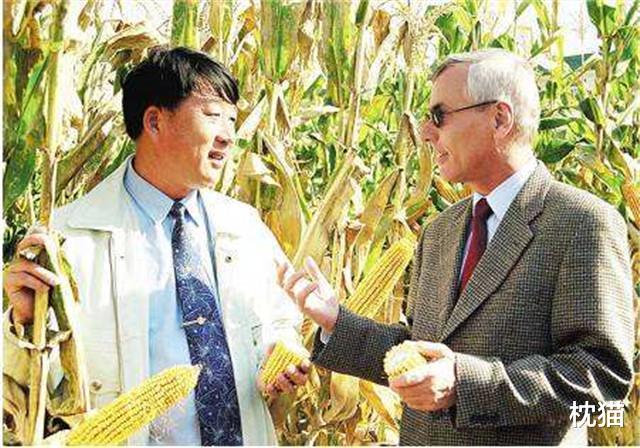 枕猫|杂交玉米之父李登海：决心为国家增粮千亿斤，开创玉米高产道路