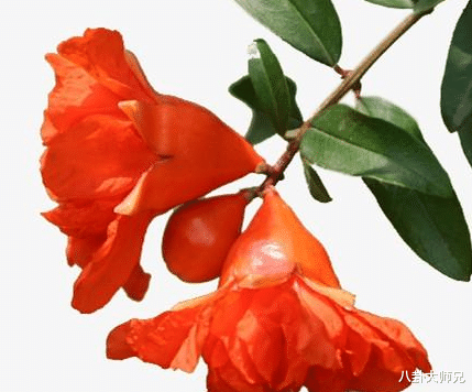 【运势】2020~2021年鸿运当头,运势大涨,吉星庇佑,财路大开的三大生肖