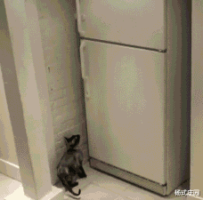 小姐姐|人类生理上有什么不合理的地方，评论里的人都是魔鬼吧