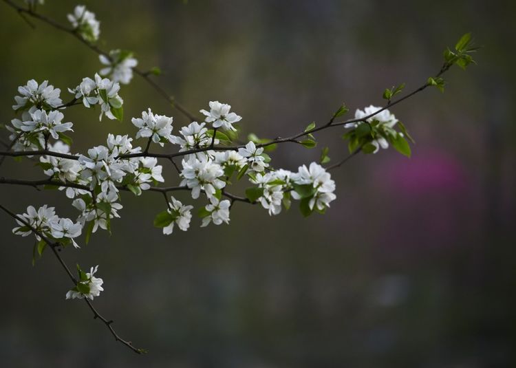 天蝎座|9月中旬，关键时期，抓住了机遇，四星座喜获姻缘，爱情来到身边