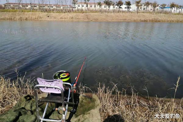 郑爽|冬季钓鱼，绝佳钓点汇总，这里鲫鱼扎堆过冬，钓大鲫鱼更容易！