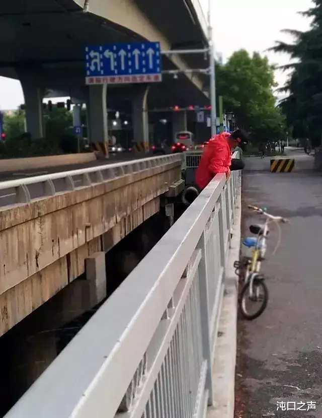 沌口▲危险！沌口三角湖附近有居民翻桥“玩命”垂钓...