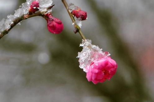 「吉星」未来两个月贵人上门，4属相吉星高照，财运滚滚，富贵又幸福