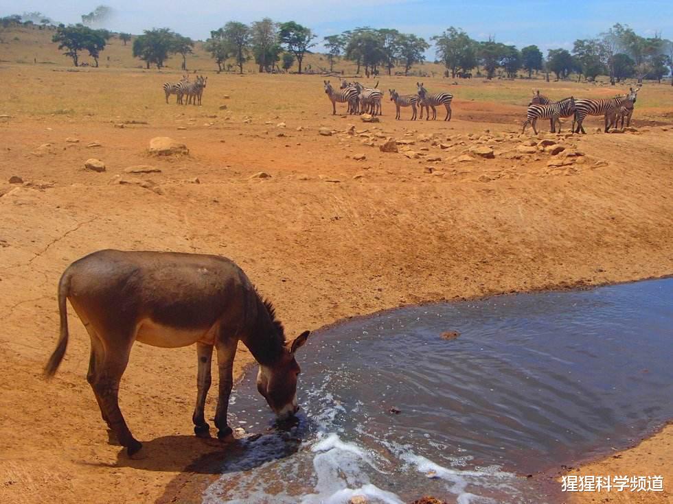 『干旱』超级干旱在发生？卫星数据显示欧洲正面临威胁，未来或影响50亿人