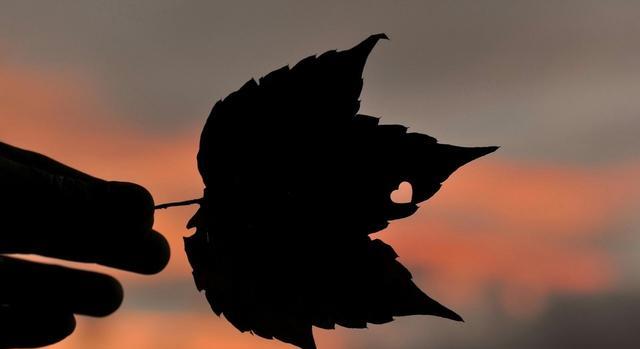 『生肖』你爱错12星座男，才会出现这个感觉！千万不要舍不得放手