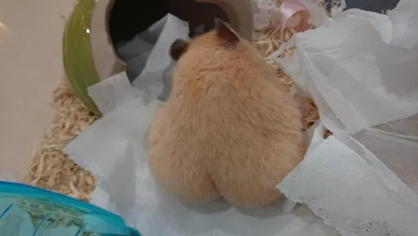 |“轮胎：放心吧，撑不住我会告诉你的！”哈哈哈还能安心上路？