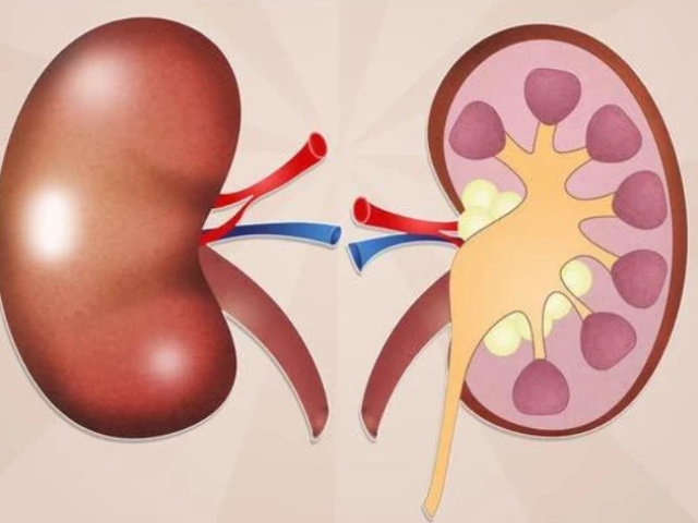 肝脏@肾脏“年轻”的男人,通常有3个“共性”,若你一个都没占,需趁早保养!