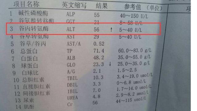 肝脏|肝病专家:体检单上2个数值出现异常,可能会得肝癌,需要警惕
