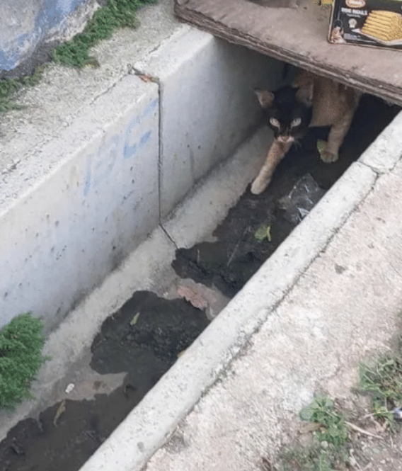 彭于晏|“班上的女同学都说我长的像彭于晏！”哈哈哈差点我就信了