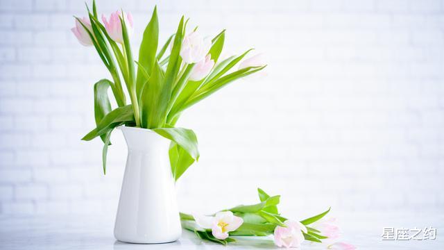 「天蝎座」在6月下旬,否极泰来,神采奕奕,旗开得胜的三大星座