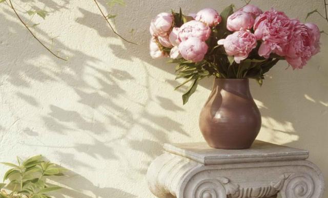 运势|8月，运势一路高涨，囍事纷至沓来，4生肖事业逆流而上，咸鱼翻身